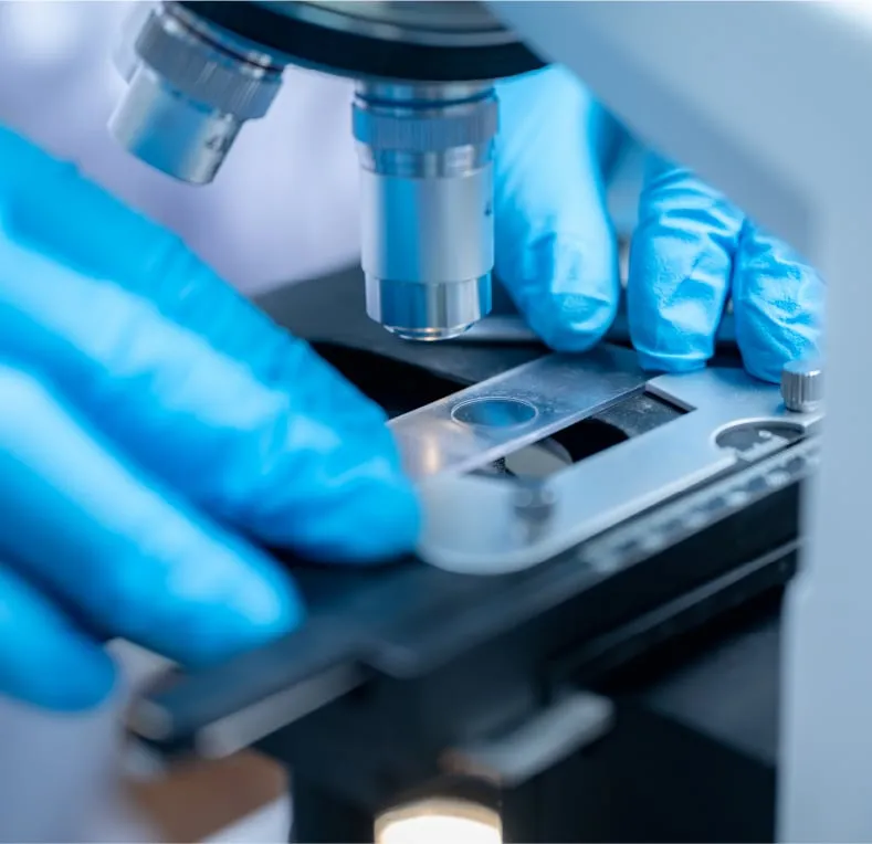 Gloved hands adjusting a microscope