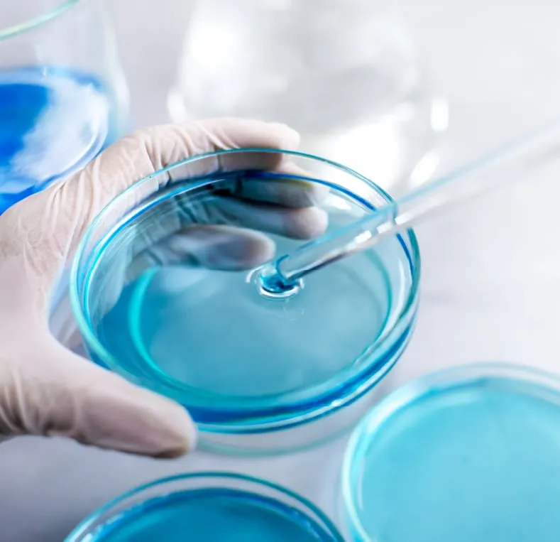 Pipetting a sample into a petri dish