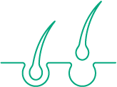 Anti-Hair Loss or Alopecia Products